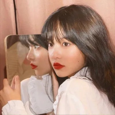 万紫千红花弄蝶